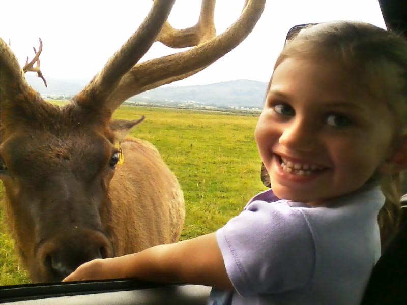 Little Girl with Elk